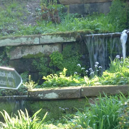 Colibri Baden-Baden