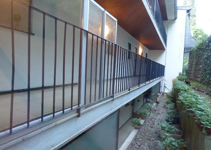 Colibri * Baden-Baden