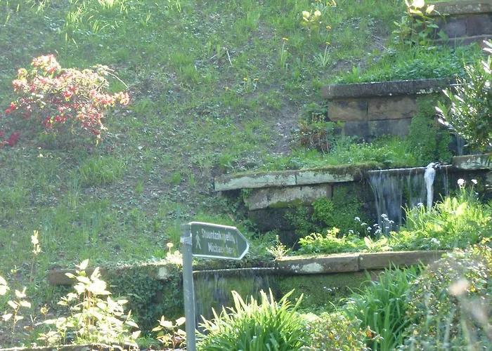 Colibri * Baden-Baden